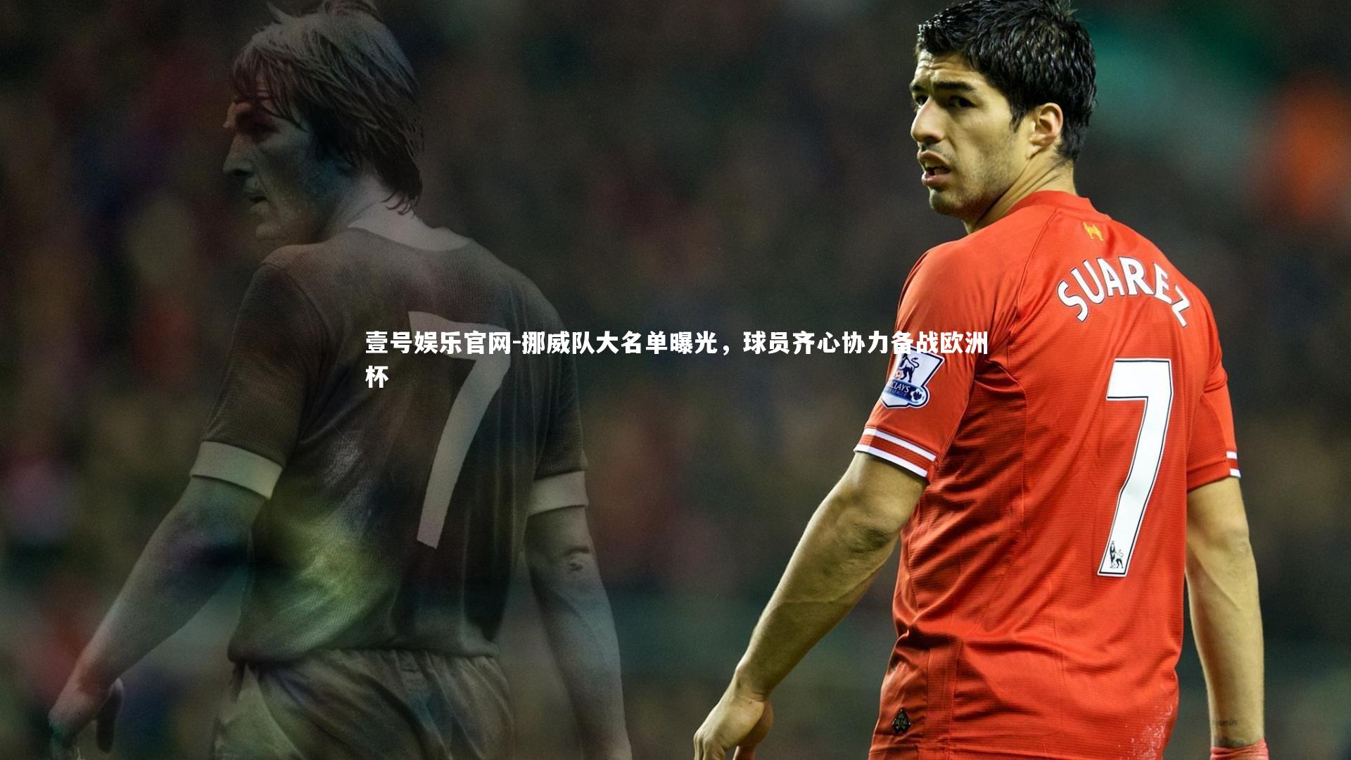 挪威队大名单曝光，球员齐心协力备战欧洲杯